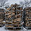 Thumbnail: 1/2  Cord Premium Firewood Mixed-Hardwoods