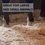 Thumbnail: BLUE RIDGE TIMBERS-  Premium Animal Bedding 
