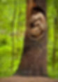 foetus-933894_10151350997261184_15968999
