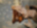 20190114_192411.jpg