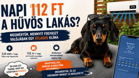 Tacskó szereti a klímát