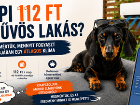 Tacskó szereti a klímát