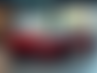 Euro bjx: Tu Casa para Autos Deportivos Exclusivos