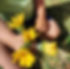 flores brincaeduca