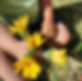 flores brincaeduca