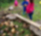 BOSQUE2.jpg