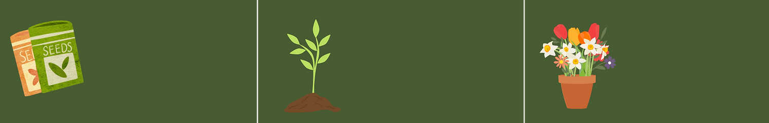 ITP website  (4).png