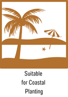 Suitable for Coastal Planting