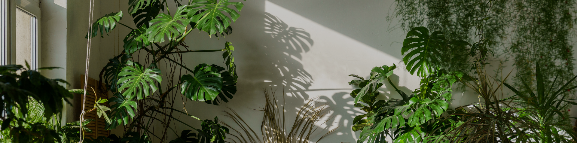 ITP website  (4).png