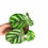 Thumbnail: Calathea fasciata