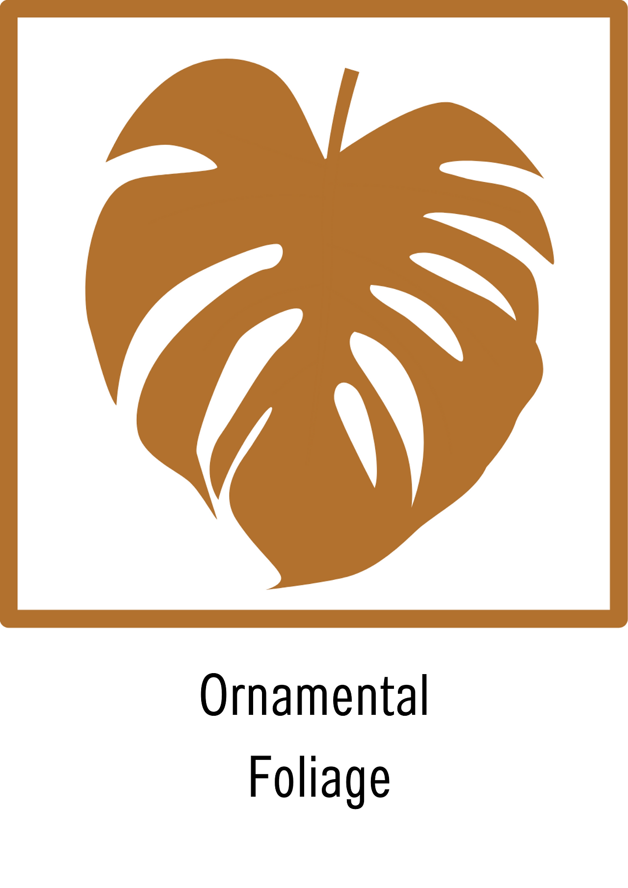 Ornamental Foliage