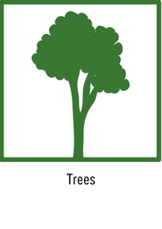 trees
