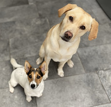 thumbnail_image0 (2).jpg