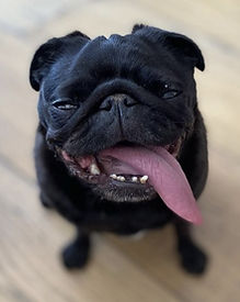thumbnail_image2 (1).jpg