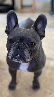 thumbnail_image1 (1).jpg