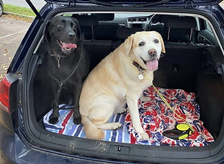 thumbnail_image0 (1).jpg