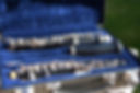Oboe in blue travel case.jpg
