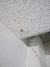 FONDO_BLOQUEO_ASPIDA (1).png