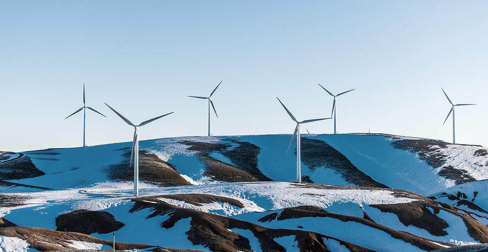 environmental noise consultants