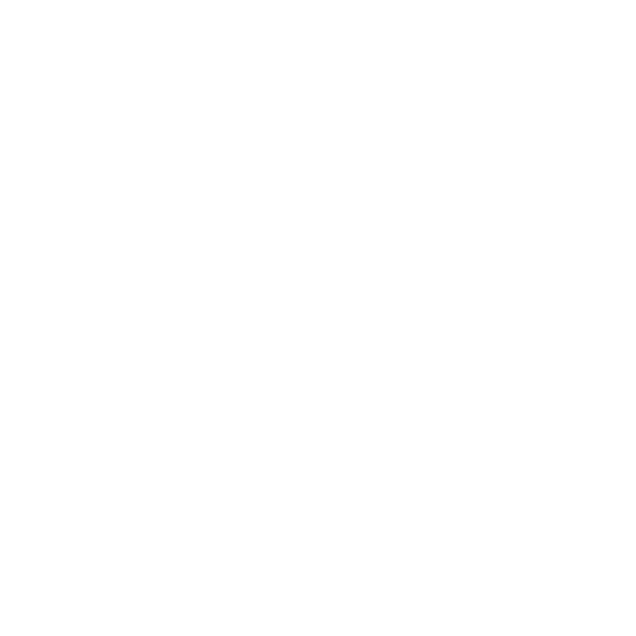 VASTU SPACES Logo_white.gif
