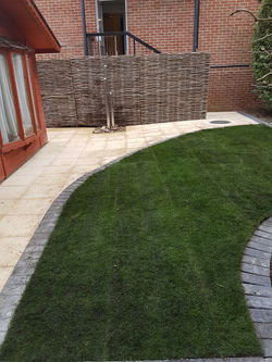 lawn