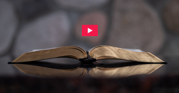 Module Intro Videos Image.png