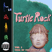 Volume 1: Year of the Turtle