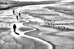 Distancing, Karen Cohen