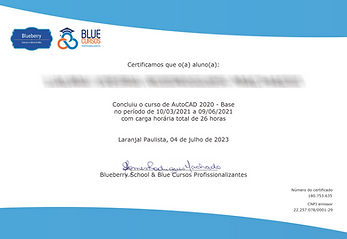 DEMONSTRAÇÃO-DE-CERTIFICADO---BLUE-CURSOS-PROFISSIONALIZANTES.png