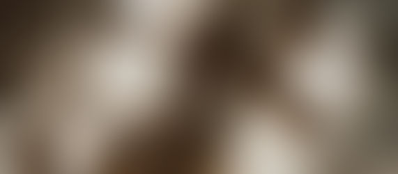 How to Avoid Assignment Overload.