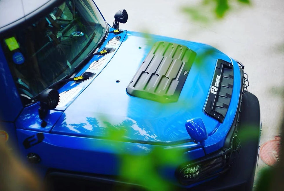 Thumbnail: Toyota FJ Cruiser 07-21 Front Garnish With LED Light