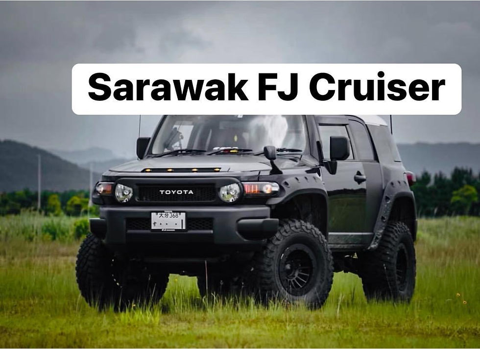 Thumbnail: Toyota FJ Cruiser 07-22 Dean Classic Angry Bird Grill