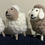 Thumbnail: Set of 3 Handmade Sheep