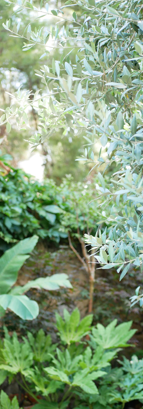 Jardins