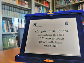 Un giorno in Senato