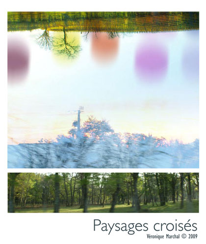 Paysages croisés (c) 2010