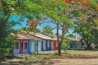 Sul da Bahia: um retrato do Brasil diverso e desigual 