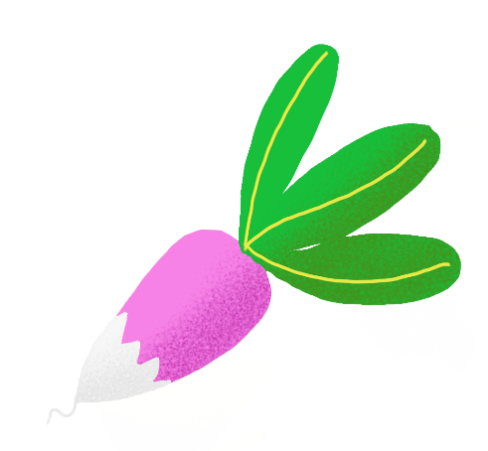 Radis.png