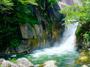 リタエアー解約手順ガイド