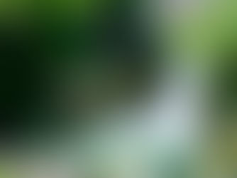 リタエアー解約手順ガイド