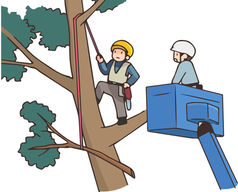 林業事業者必見！電子帳簿保存法への対応をスムーズに進める方法-沖縄那覇