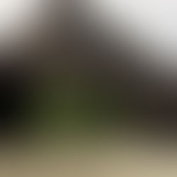 奄美ダイビングツアー