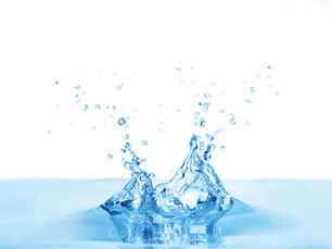 芸能人が選ぶ美容と健康の秘訣「リタライフ」体験レポート