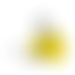 パルプ・紙製造業界のサステナビリティとデジタル変革:電子帳簿保存法とタイムスタンプの効果