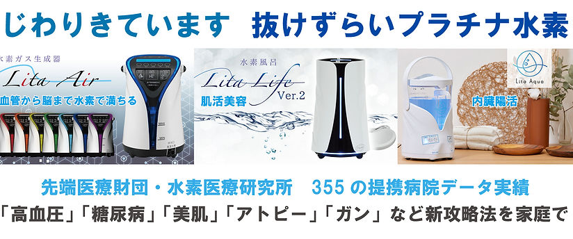 リタライフ Lita Life バージョン1 Ver.1 水素風呂 水素発生器 