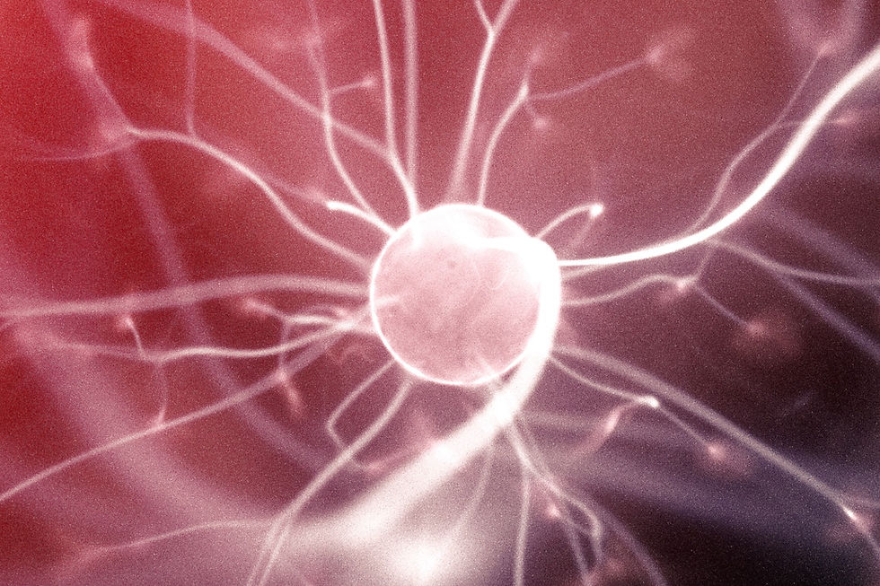 brain neuron
