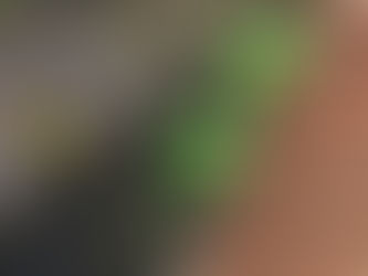 Gutter cleaning. Essential this time of year BOREHAMWOOD