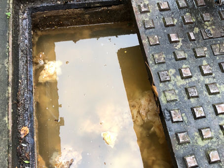 Blocked sewer drain before & after WATFORD