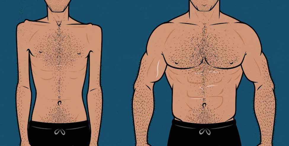 The techniques of bulking