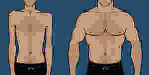 The techniques of bulking